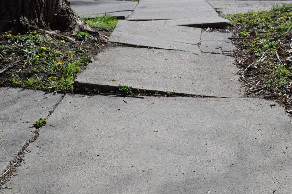 Cost of Sidewalk Raising in Lehigh Acres